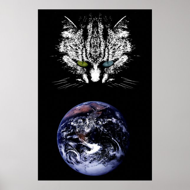 Le chat Tabby - Maître de l'Univers Poster (Devant)