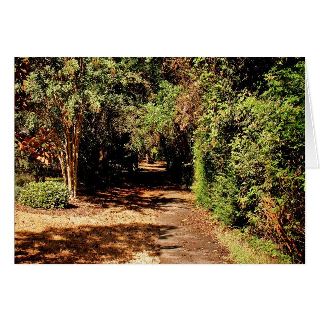 Le chemin (Devant horizontal)