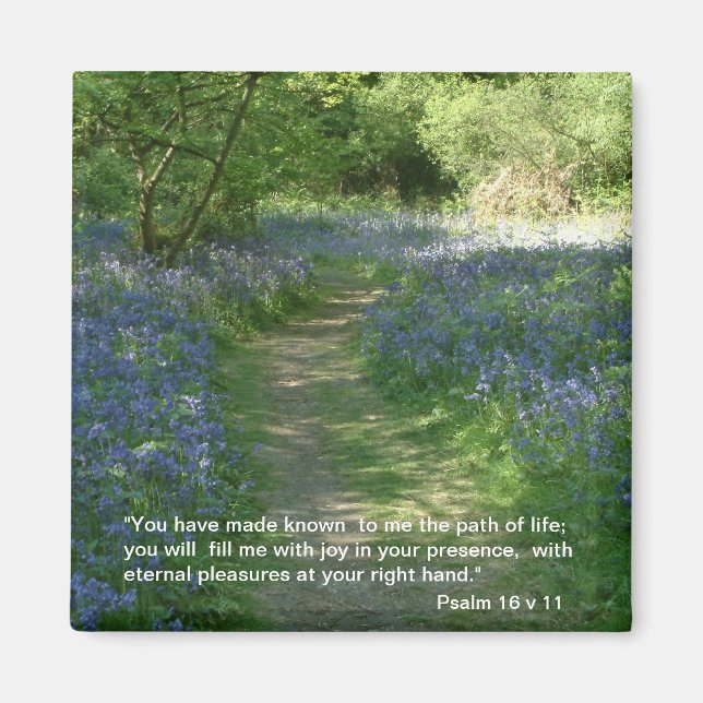 Le chemin de la vie - Bluebells | Magnet (Devant)