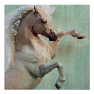 Le Cheval d'or Stallion - Poster