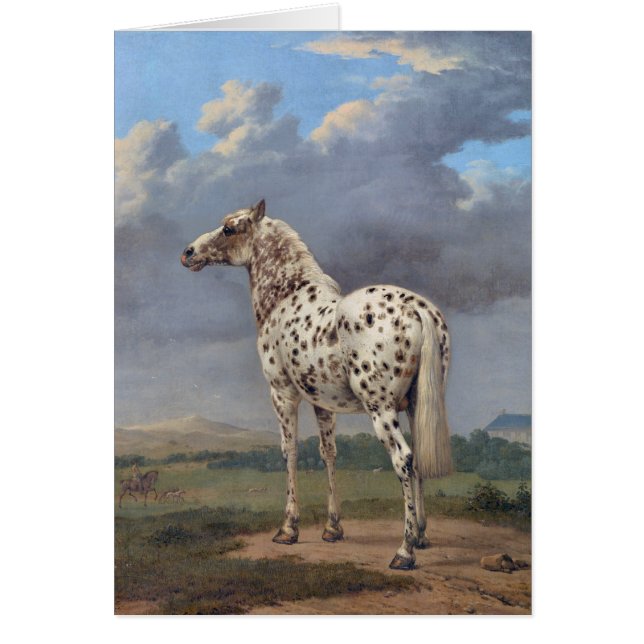 Le Cheval Piebald (Devant)