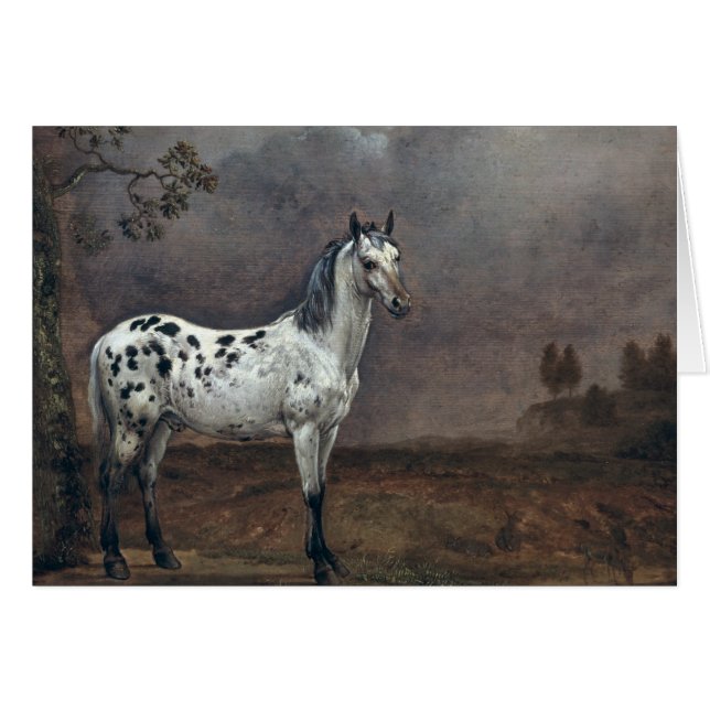 Le Cheval Piebald, 1653 (Devant horizontal)