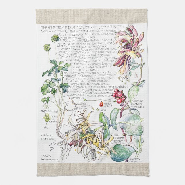 Le chèvrefeuille vintage fleurit des serviettes de (Vertical)