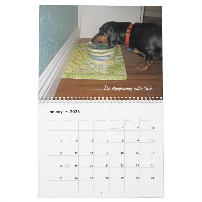 Le chien 2012 de teckel dupe le calendrier (Jan 2026)