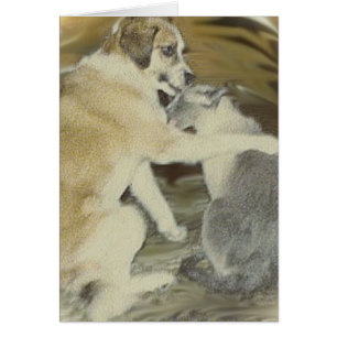 le chien aime le chat