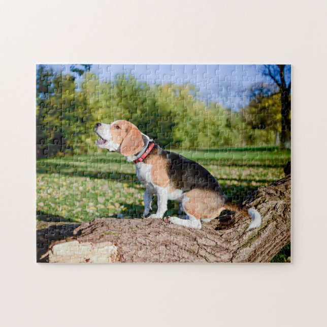 Le chien Beagle hurle sur un puzzle (Horizontal)