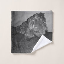 Le chien de Polory (noir et blanc)