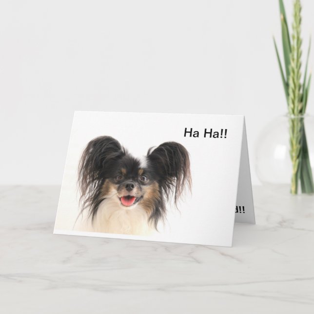 Le chien drôle, ha ha, vous êtes vieille carte (Devant)