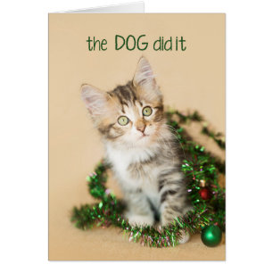 Le chien l'a fait Kitten