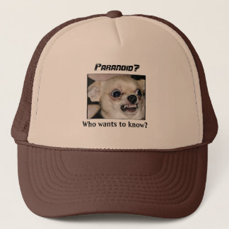 Le Chihuahua paranoïaque garde un Casquette