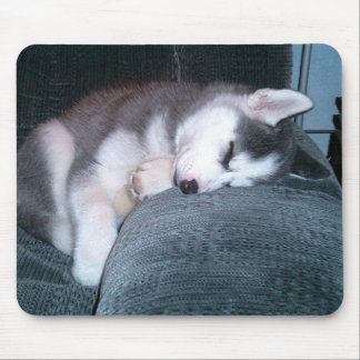 Le chiot dort tapis de souris