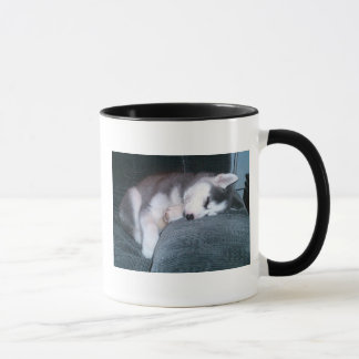 Le chiot dort tasse