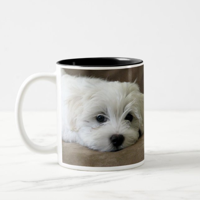 Le chiot observe la tasse faite sur commande (Gauche)