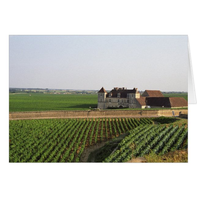 Le Clos de Vougeot monastère du XVIe siècle et (Devant horizontal)