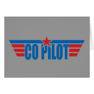 Le co-pilote s'envole l'insigne - aviation