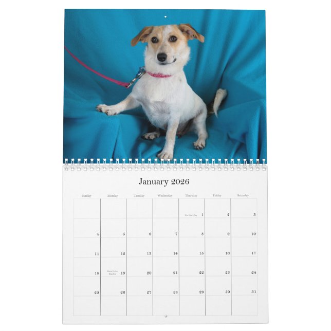 Le coffre-fort remet le calendrier 2015 (Jan 2026)