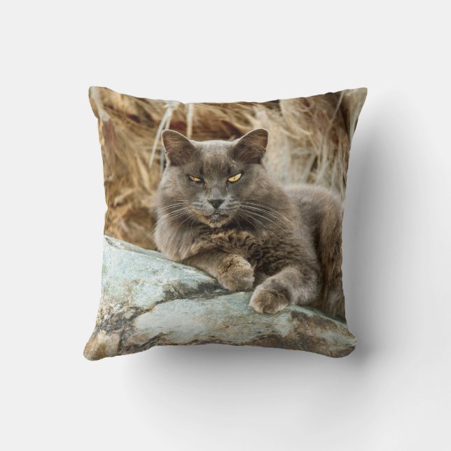 Le Coque Coussin de chat (Verso)