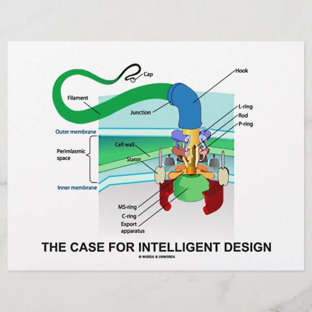 Le Coque Pour Le Design Intelligent (Flagellum) (Devant)