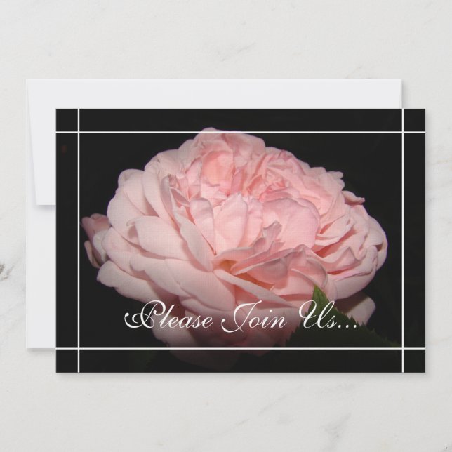 Le corail s'est levé des invitations de (Devant)