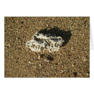 Le corail sur le sable