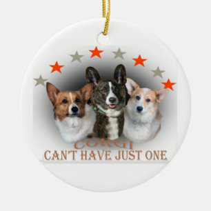 Le corgi ne peut pas avoir juste un ornement