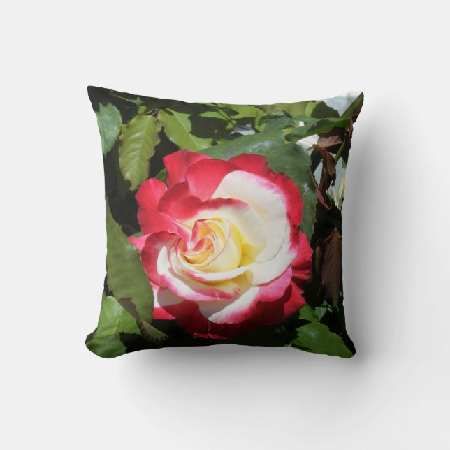 Le coussin avec le rouge a incliné l'île (Recto)