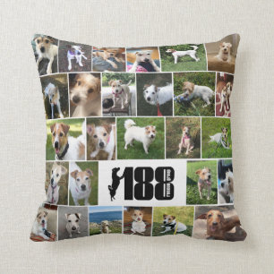 Le Coussin d'affichage des 188 Secours