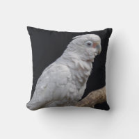 Le Coussin de Cockatoo de Goffin