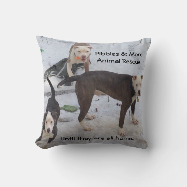 Le COUSSIN de PMAR, Adopt ne font pas des (Recto)