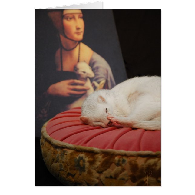 Le coussin de sur de Furet s'est levé II (Devant)