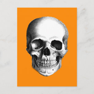 Le crâne humain sur la carte postale orange d'Hall