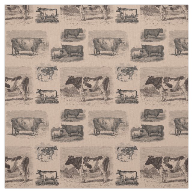 Le cru effraye le tissu antique d'illustration de (Échantillon)