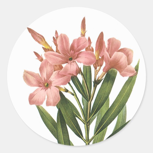 Le cru fleurit les autocollants 3 B (Devant)