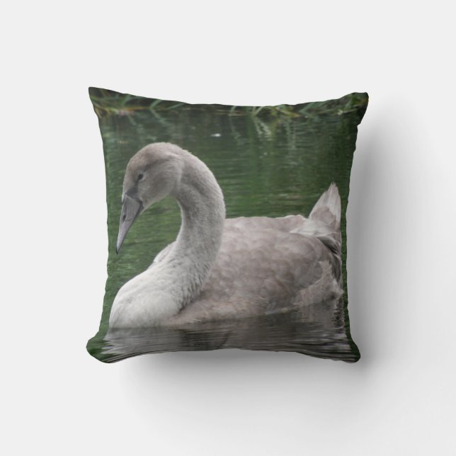 Le cygne gracieux sur le Coussin d'eau (Recto)