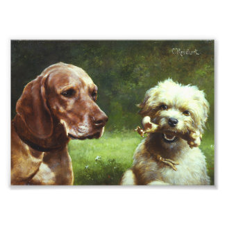 Le cynique et le philosophe photo