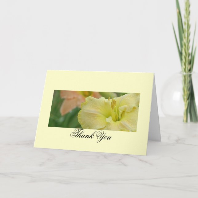 Le Daylily rêve le Merci (Devant)