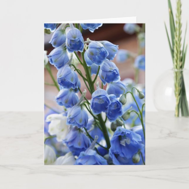 Le delphinium fleurit la carte de voeux (Devant)