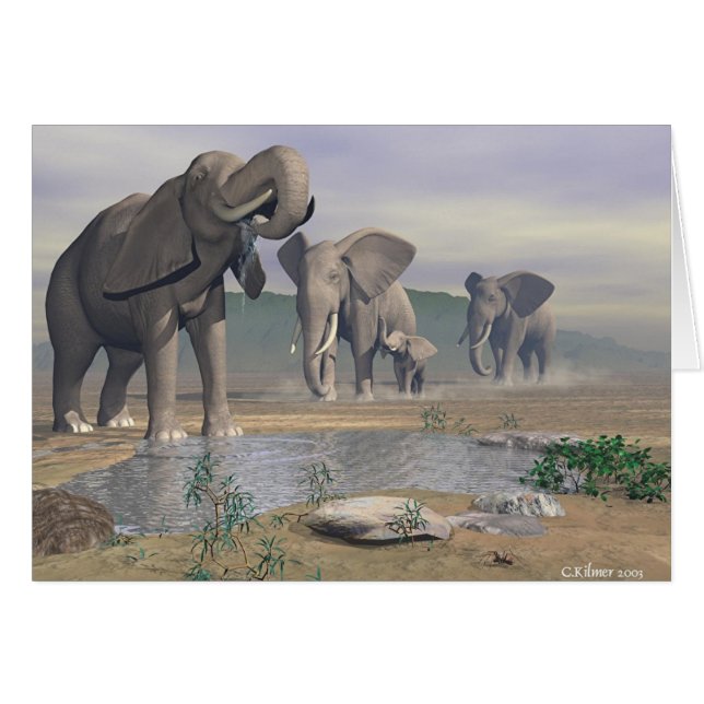 Le dernier abreuvoir (Devant horizontal)