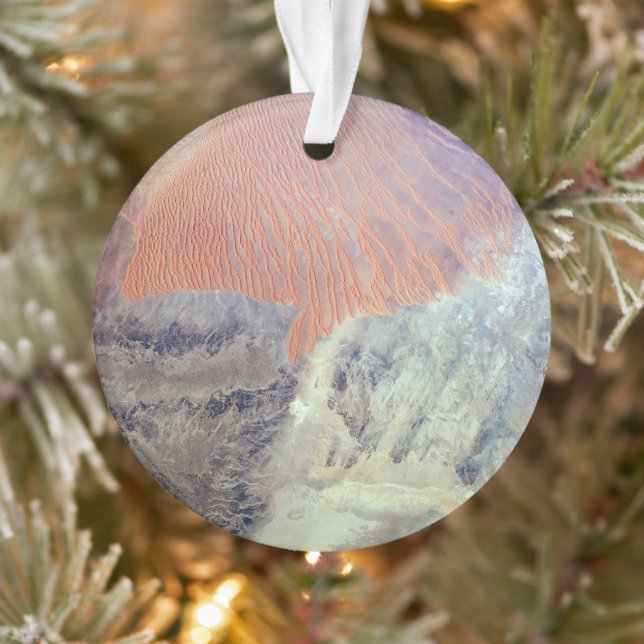 Le Désert Du Sahara En Algérie, Afrique Du Nord. (Arbre)