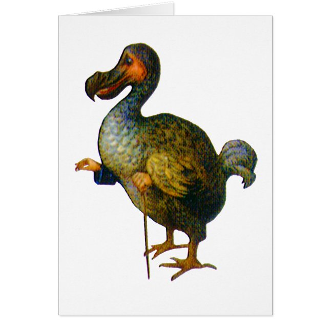 Le Dodo Bird (Devant)