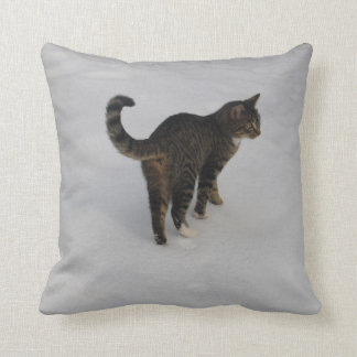 le double a dégrossi carreau de coussin de chat…