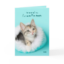 Le favori piaule carte de Pâques de chaton