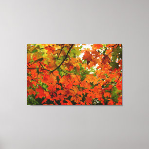 Le feuille d'automne a enveloppé la toile