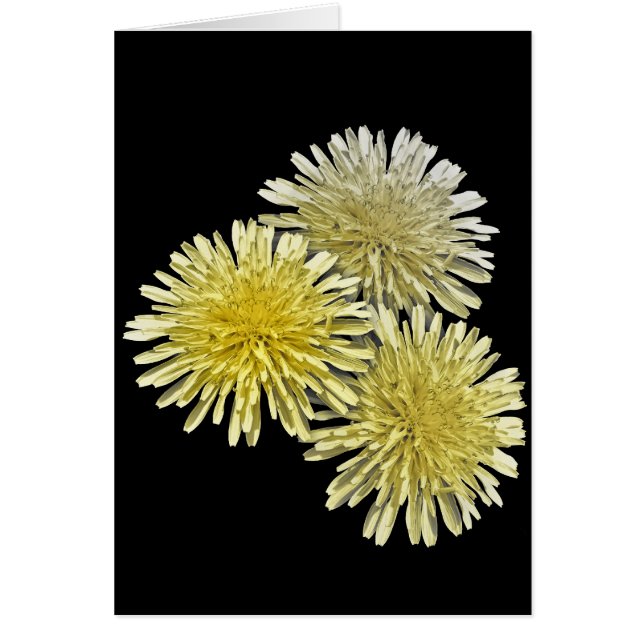 Le fléau du voisinage (Devant)