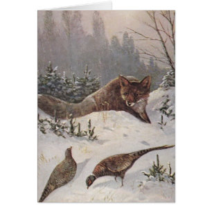 Le Fox et les faisans assourdis jour d'hiver