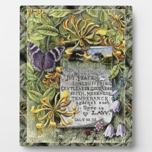 Le Fruit De La Plaque Spirit