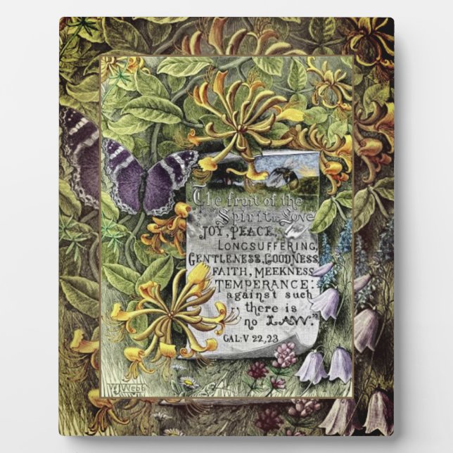 Le Fruit De La Plaque Spirit (Devant)