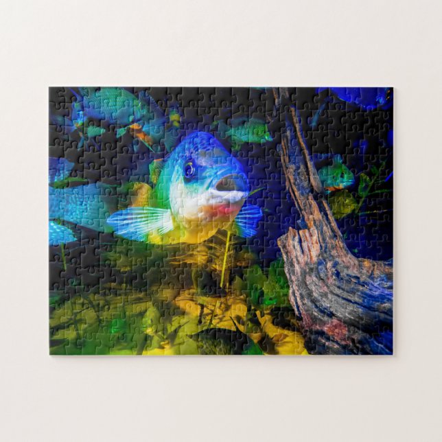 Le gabarit curieux de poissons a vu le puzzle (Horizontal)