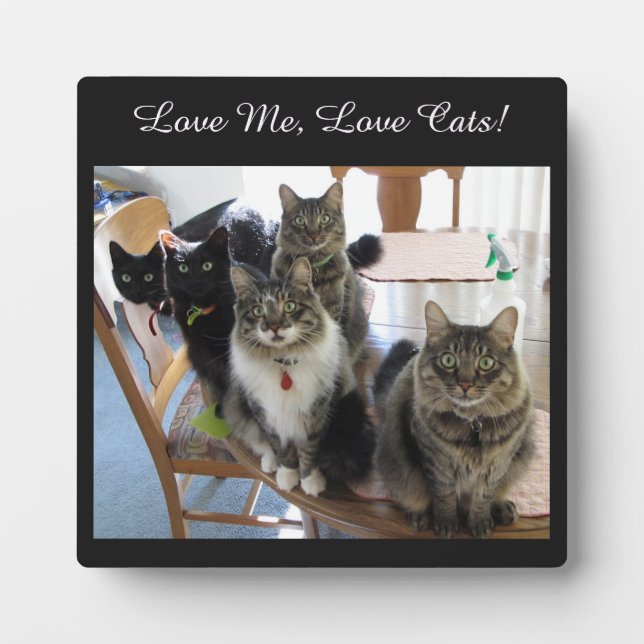 Le Gang Love Me Love Chats Plaque Photo (Devant)