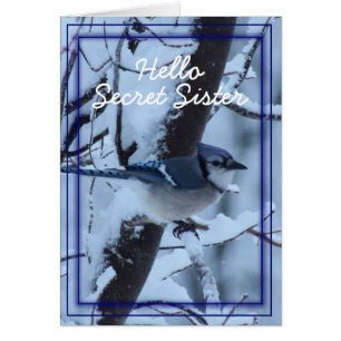 Le geai bleu 7133 - customisez n'importe quelle